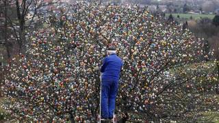 50-Year Tradition: Couple Trims Tree With 10,000 Easter Eggs