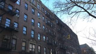 'White People and Their Dogs' Woman Curses Before Attacking Dog Owner: NYPD