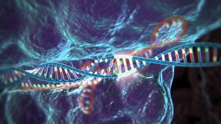 Gene editing technique could transform future