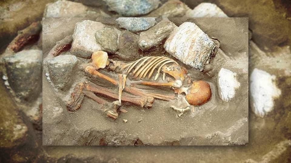 Half of Western European men descended from one Bronze Age ‘king’