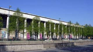Hysteria over Tree-Cutting in Munich