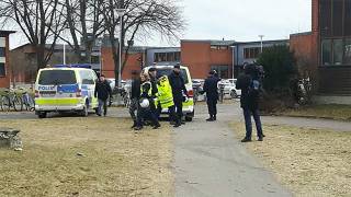 Mass brawl breaks out in Sweden - police find AK47 assault rifle