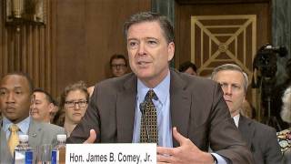 FBI Director James Comey Testified that the Trump Administration Doesn’t Obstruct Investigations