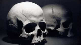 Tower of Human Skulls in Mexico Casts new Light on Aztecs