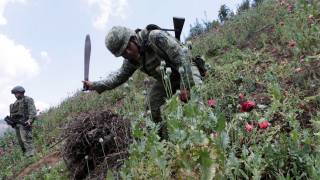 U.S. Heroin Trade Rooted in Mexico’s ‘Corridor of Death’