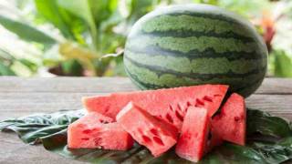 A Detroit Firefighter was Fired Before he Officially Began his First day on the job for Bringing a Watermelon to Work