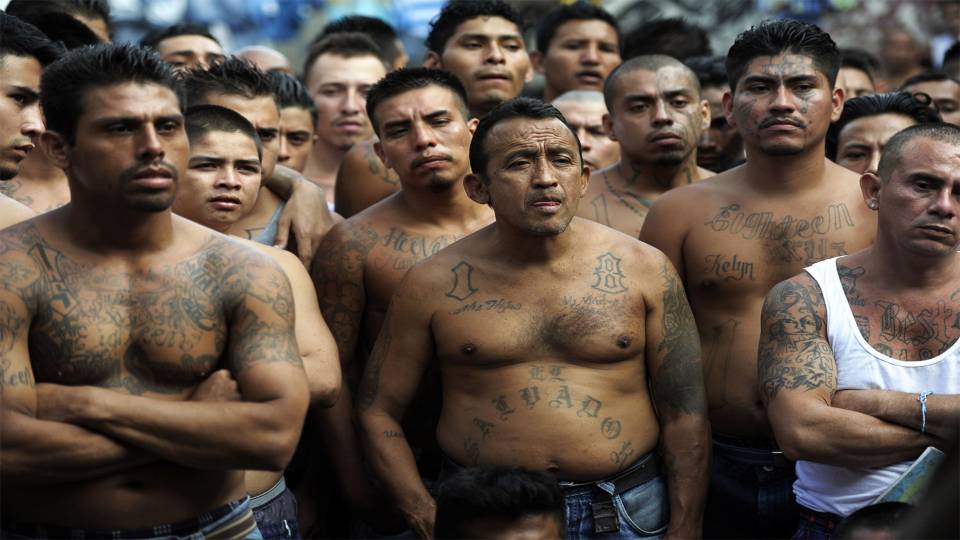 One-Third of 214 Arrested MS-13 Gangsters were ‘Unaccompanied Alien Children’