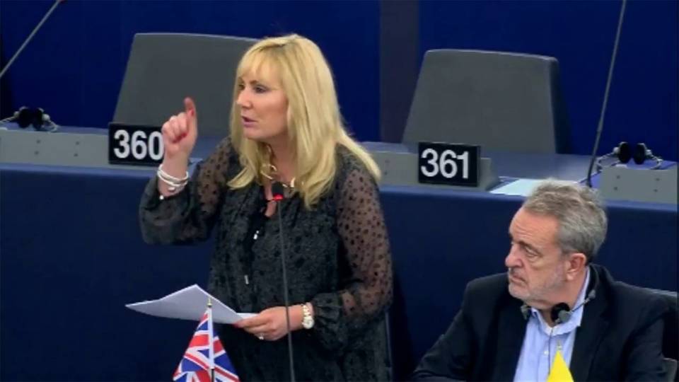 EU Parliament Votes Against Debating Murder of White Farmers in South Africa as a Human Rights Violation