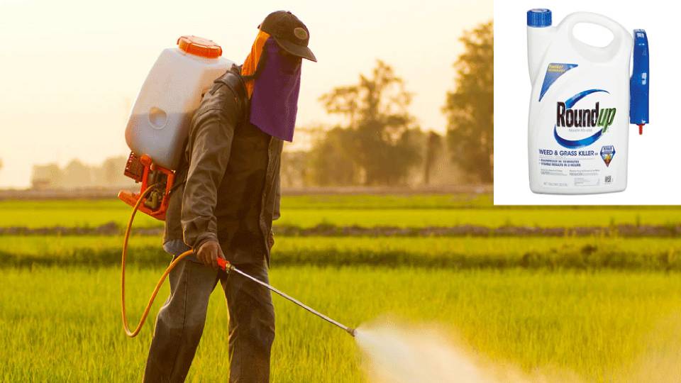 Jurors Award $289 Million to a Man They Believe Got Cancer from Monsanto's Roundup