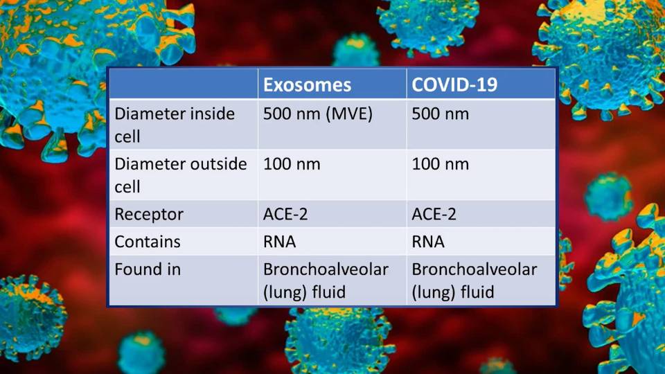 A Breakdown On How China Started Testing For Covid-19