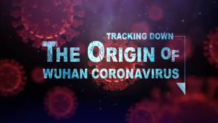 Tracking Down the Origin of the Wuhan Coronavirus