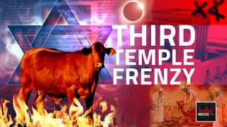 Third Temple Frenzy