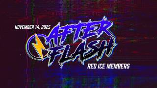 After Flash November 14, 2025 - Aryan Cosmology