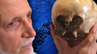 Extraction of Nuclear DNA from the Starchild Skull