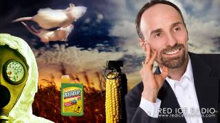 Seeds of Deception & The Danger of Genetically Engineered Foods