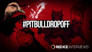 AntiPit: Addressing the Pit Bull Question