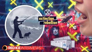 Extinction Rebellion, Our Future of Bugs & Pods