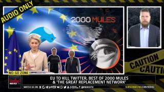 No-Go Zone: EU To Kill Twitter, Best Of 2000 Mules & 'The Great Replacement Network'