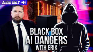 The Black Box Gamble: Known And Unknown Dangers of AI