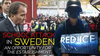 School Attack in Sweden: an Opportunity for the Establishment