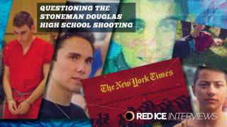 Questioning the Stoneman Douglas High School Shooting