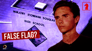Why the Stoneman Douglas Shooting Wasn't a False Flag - Seeking Insight