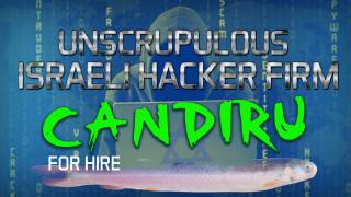 Candiru: The Secret Hacker Firm For Hire in Israel