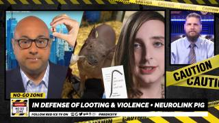 No-Go Zone: In Defense of Looting & Violence + Neurolink Pig