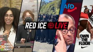 Dysgenic Socialism, AfD "Shocks" Germany, Nike Doom