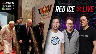 BRICS Leaders Suffer Food Poisoning In India? & The Nerd Reich&rsquo;s Fake AI Concerns