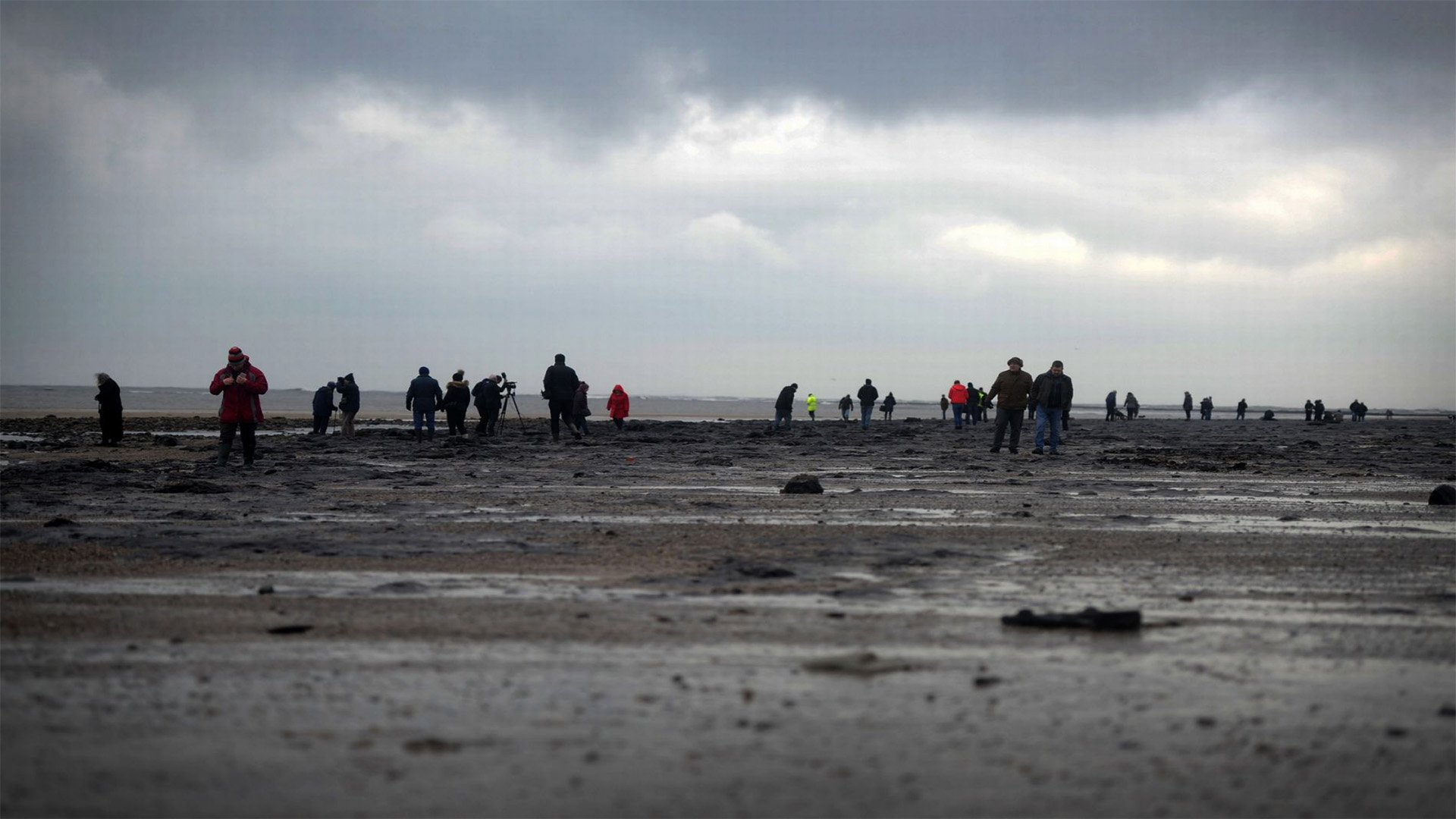 Crowds Flock to Ancient Forest on Redcar Beach After Beast from the ...