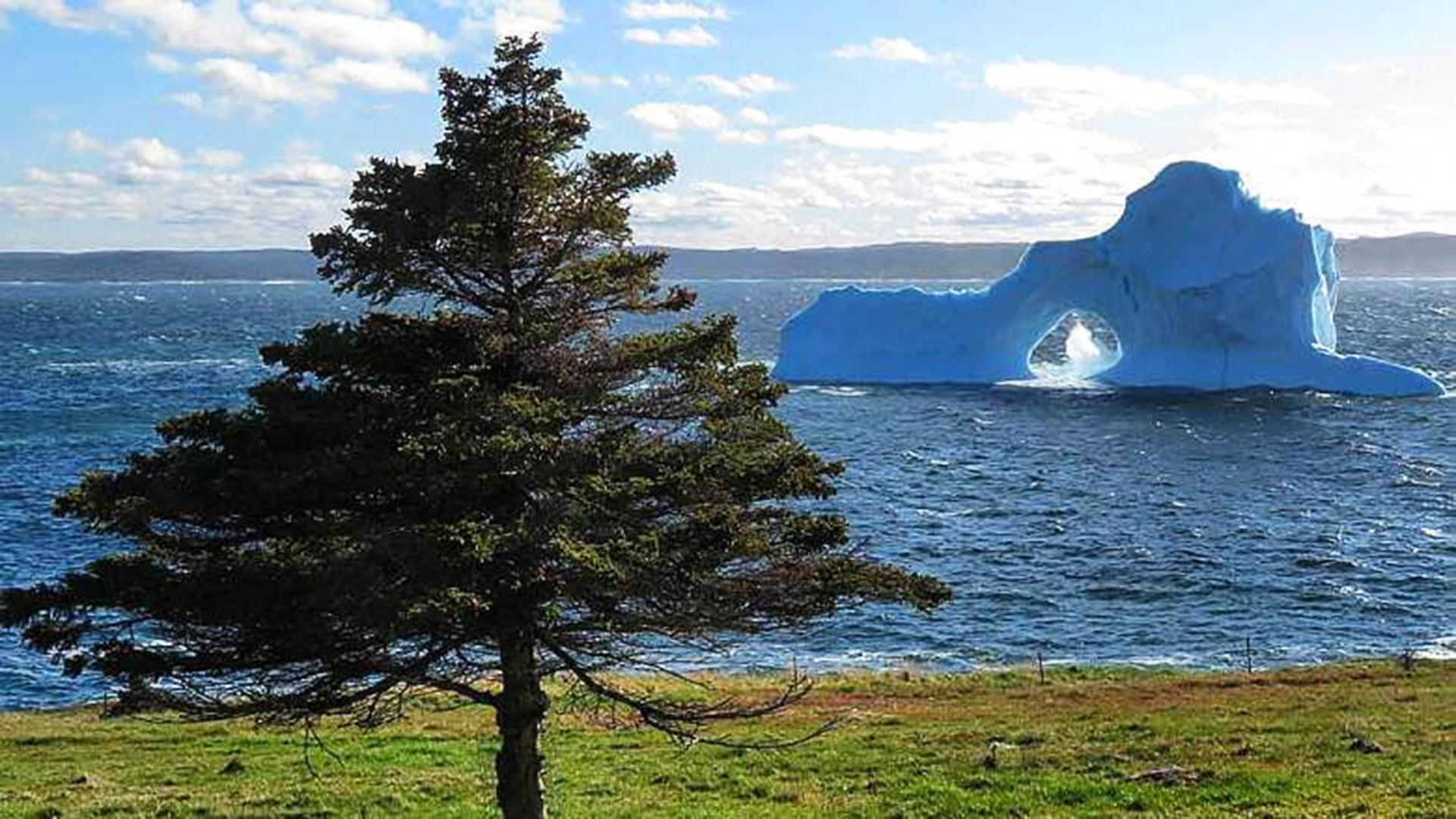 Какой исследователь открыл остров ньюфаундленд. Аллея айсбергов Канада. Арка Берри хед ньюфаундленд Канада. Ньюфаундленд Канада Айсберг. Остров ньюфаундленд природа.