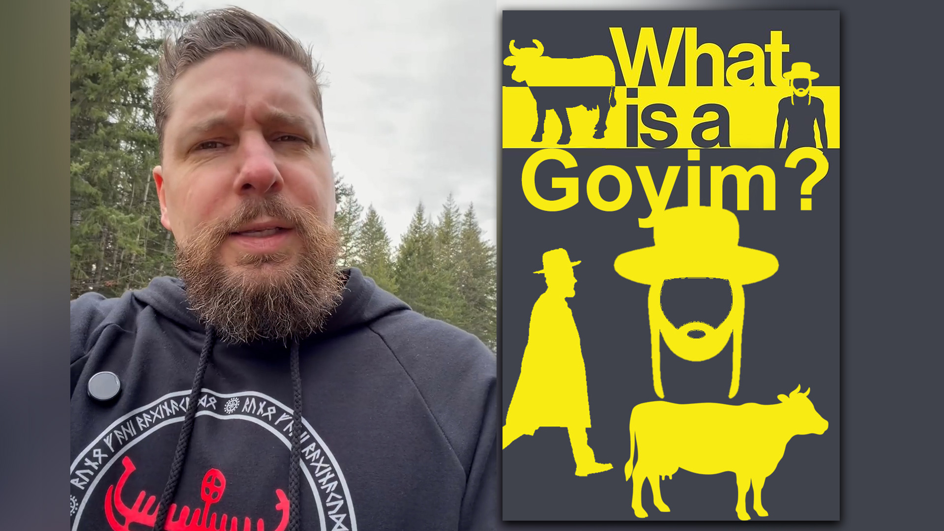 What is a Goyim?