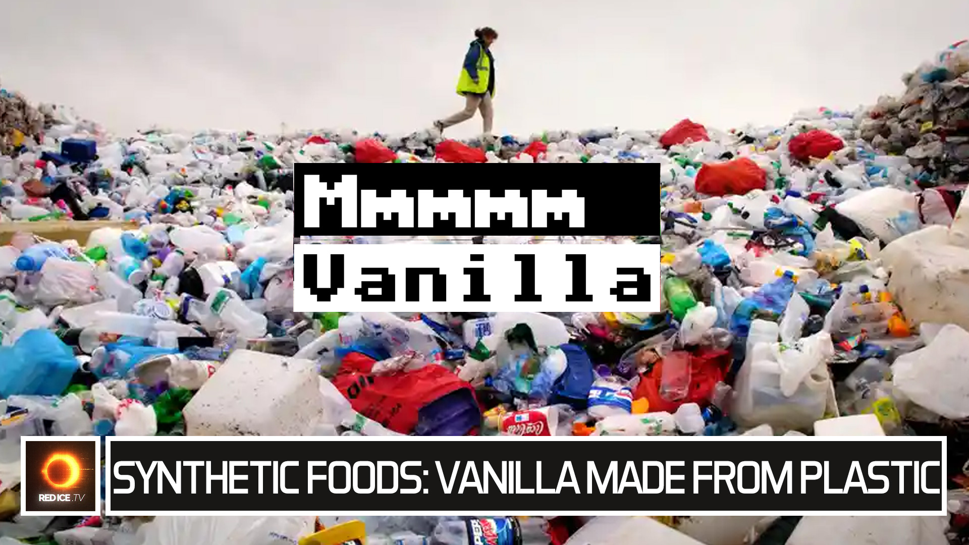 Synthetic Foods Vanilla Made From Plastic